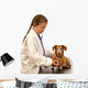 Child little girl playing doctor veterinarian with little dog. Wall Decal