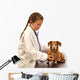 Child little girl playing doctor veterinarian with little dog. Wall Decal