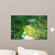 Nature Eco-tourism image of Mangroves at Everglades National Park in Florida USA Wall Mural
