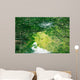 Nature Eco-tourism image of Mangroves at Everglades National Park in Florida USA Wall Mural