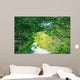 Nature Eco-tourism image of Mangroves at Everglades National Park in Florida USA Wall Mural