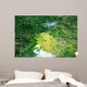 Nature Eco-tourism image of Mangroves at Everglades National Park in Florida USA Wall Mural