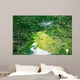 Nature Eco-tourism image of Mangroves at Everglades National Park in Florida USA Wall Mural
