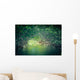 Nature Eco-tourism image of Mangroves at Everglades National Park in Florida USA Wall Mural