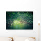 Nature Eco-tourism image of Mangroves at Everglades National Park in Florida USA Wall Mural