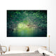 Nature Eco-tourism image of Mangroves at Everglades National Park in Florida USA Wall Mural