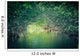 Nature Eco-tourism image of Mangroves at Everglades National Park in Florida USA Wall Mural