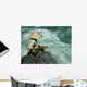 Fishing Wall Decal