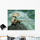 Fishing Wall Decal