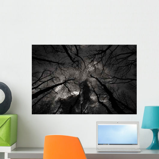 Gloomy Outlook Darker Version Wall Decal