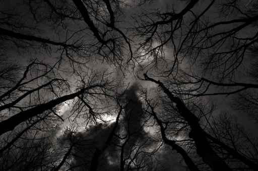 Gloomy Outlook Darker Version Wall Decal
