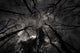 Gloomy Outlook Darker Version Wall Decal