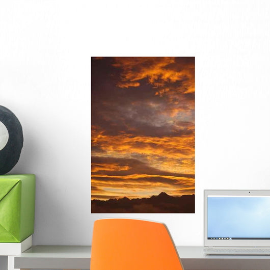 Liver Soleil Wall Decal