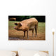 Dirty Pink Pig Wall Decal