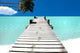 Tropical Island Wall Mural