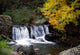 Autumn Falls Wall Mural