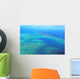 Aerial Arlington Coral Reef Wall Decal
