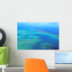 Aerial Arlington Coral Reef Wall Decal