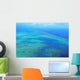 Aerial Arlington Coral Reef Wall Decal