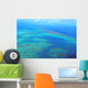 Aerial Arlington Coral Reef Wall Decal