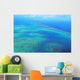 Aerial Arlington Coral Reef Wall Decal