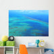 Aerial Arlington Coral Reef Wall Decal