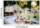 Delicious wedding reception candy bar Dessert table for a wedding outdoor party. Ombre cake, cupcakes, sweetness and flowers Wall Mural
