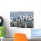 Winter Alps Wall Decal