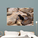 Small sea lion baby in Cape Cross Wall Mural