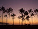 Hawaiian Sunset Wall Decal Design 2