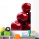 Red Apples Wall Mural
