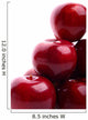 Red Apples Wall Mural