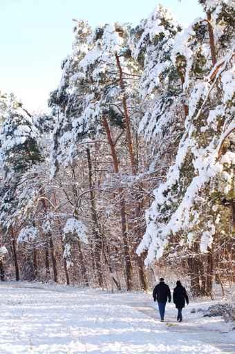 Snow Walk Wall Decal