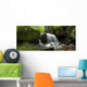 Dark Water Panorama Wall Decal