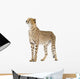 Cheetah - Acinonyx Jubatus Wall Decal