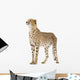 Cheetah - Acinonyx Jubatus Wall Decal