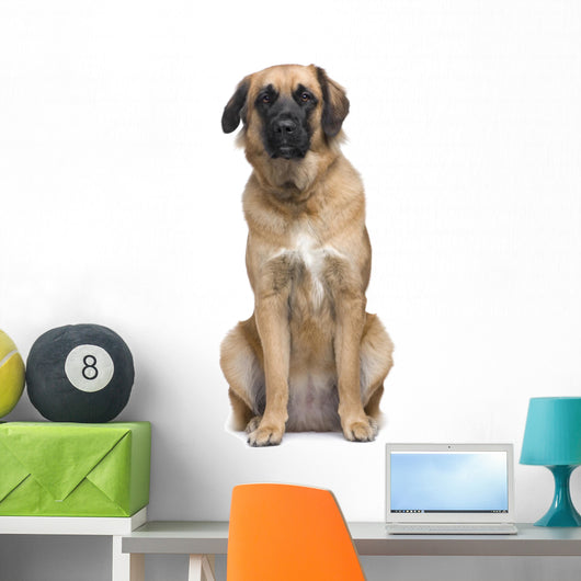 Leonberger Wall Decal