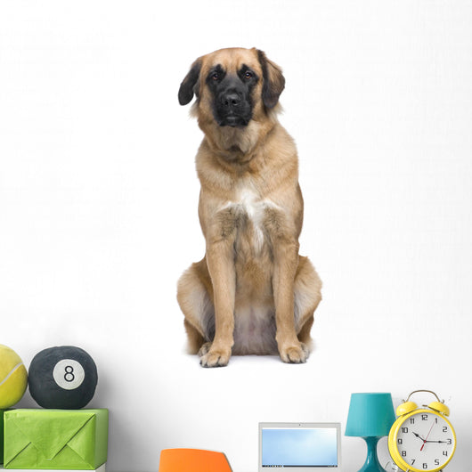 Leonberger Wall Decal