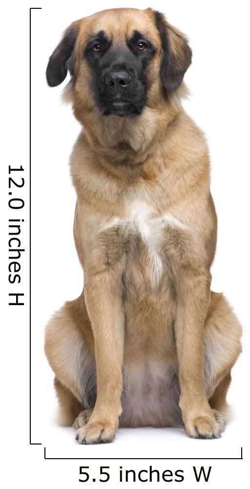 Leonberger Wall Decal