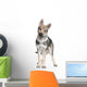 Czechoslovakian Wolfdog puppy (3 months) Wall Decal
