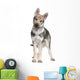 Czechoslovakian Wolfdog puppy (3 months) Wall Decal