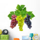 Three Various Grapes Wall Decal