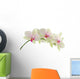 Orchid isolated on white background Wall Decal