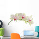Orchid isolated on white background Wall Decal