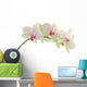 Orchid isolated on white background Wall Decal