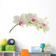 Orchid isolated on white background Wall Decal