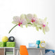 Orchid isolated on white background Wall Decal