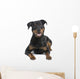 rottweiler (8 months) Wall Decal