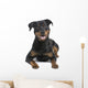 rottweiler (8 months) Wall Decal