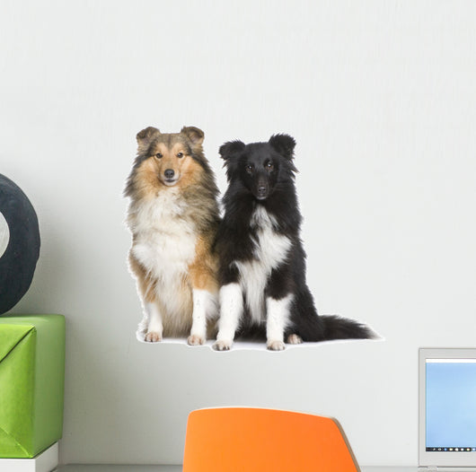 Couple of Shelties Wall Decal